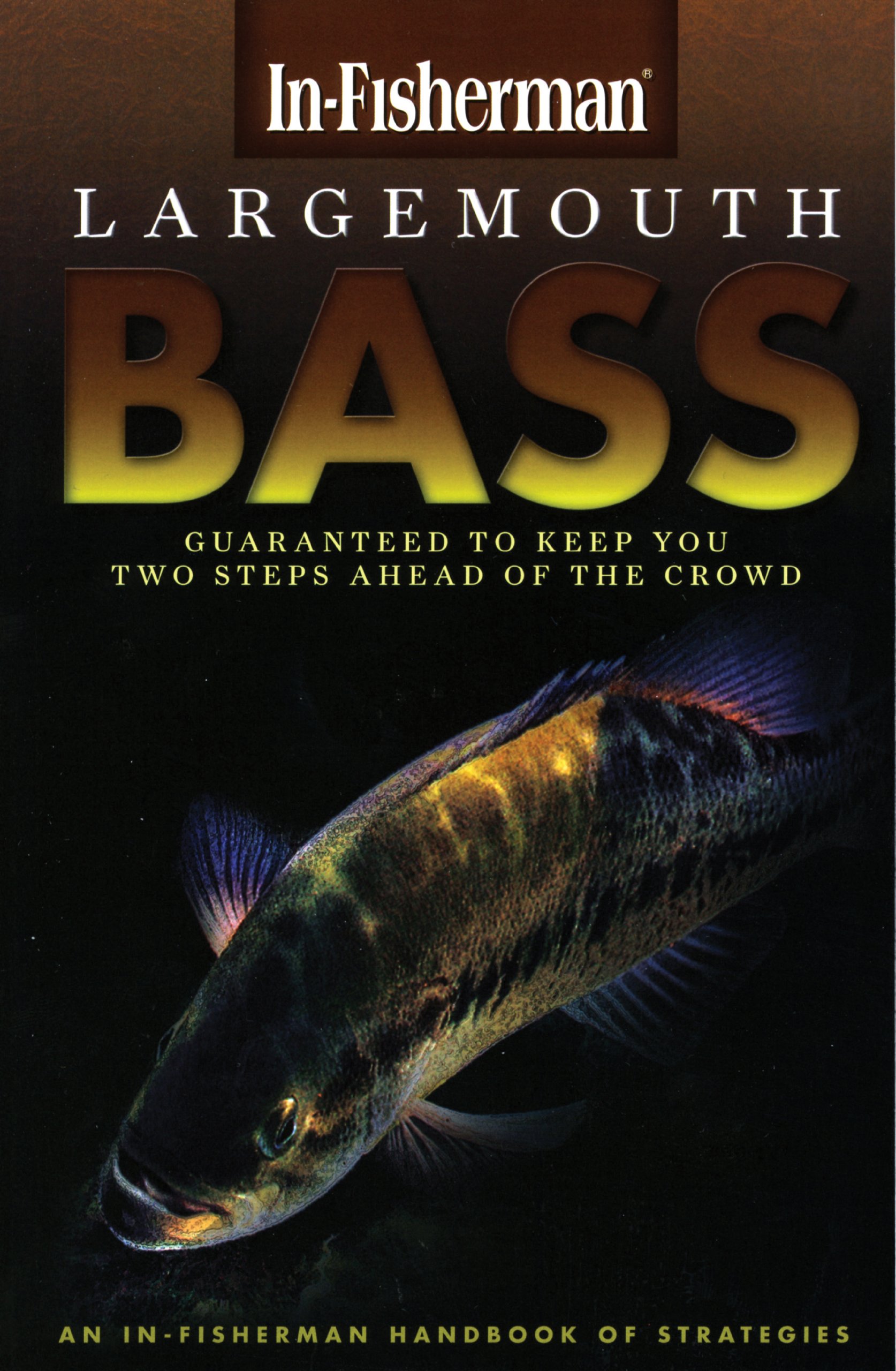 best bass fishing books 4
